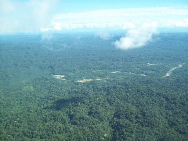 38125_1548422236264_3508277_n