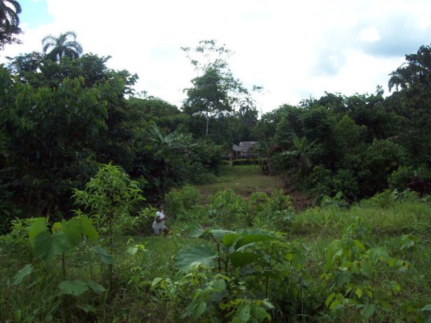 38551_1548425036334_2614211_n