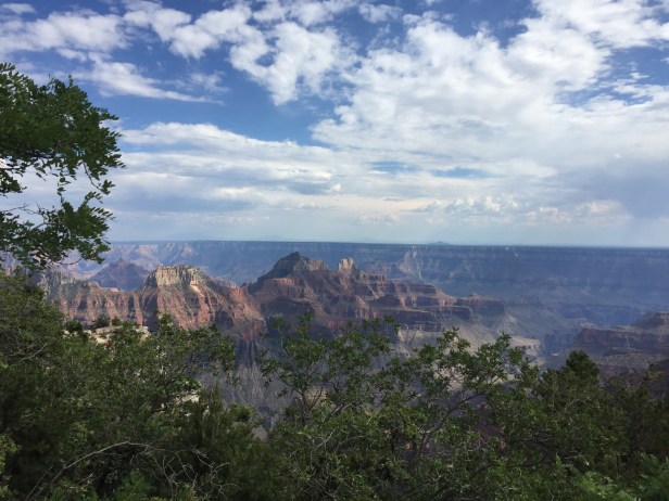 0F91B290-4044-4849-95BF-7DE477366E26