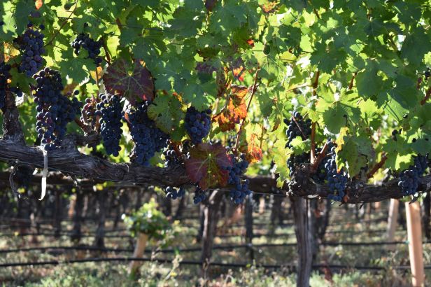 25EB5122-789C-459C-A3AC-FD8FFF01013C