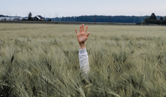 jonny-caspari-DVzt7cvRKRo-unsplash